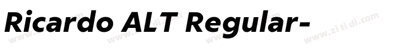 Ricardo ALT Regular字体转换